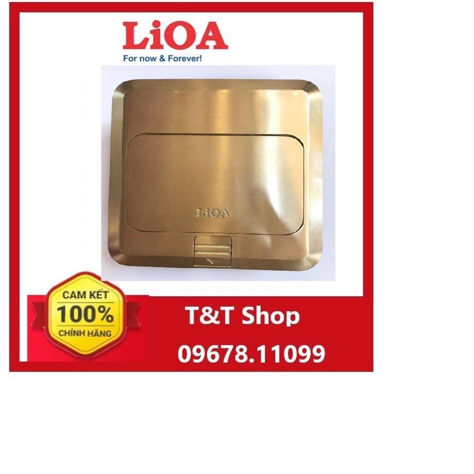 Ổ CẮM ÂM SÀN LẮP Ổ CẮM 2 CHẤU VÀ HẠT MẠNG LIOA