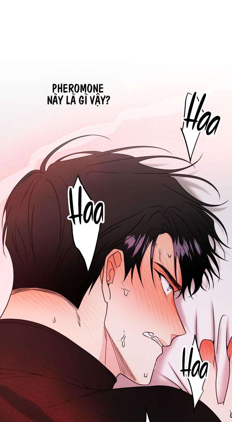 tuyển tập cuồng công - chiếm hữu công của nhà kim chapter 27.1 17