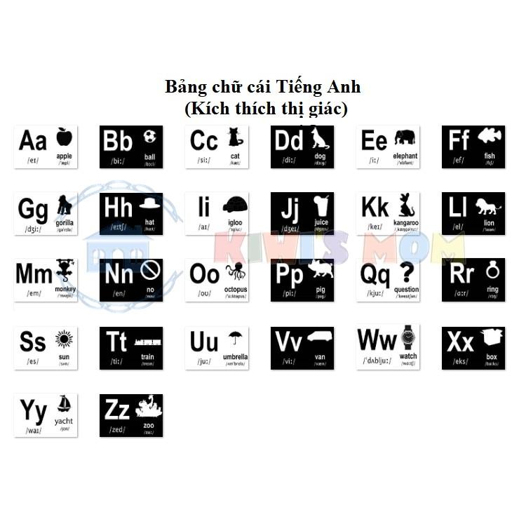 Bộ Thẻ sơ sinh Kích thích Thị giác - in 2 mặt