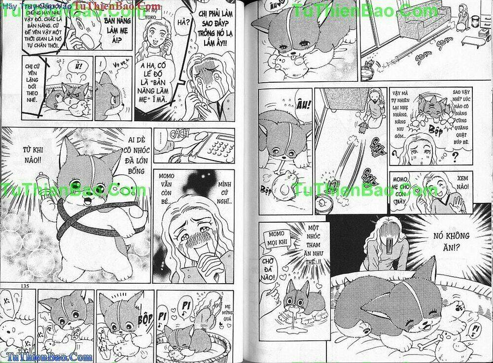chó con mo mo chapter 2 68