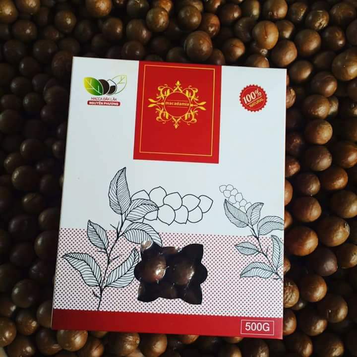 Hạt Macca Damaca Nguyên Phương 500gr - Loại 1 (size hạt&gt;27mm)