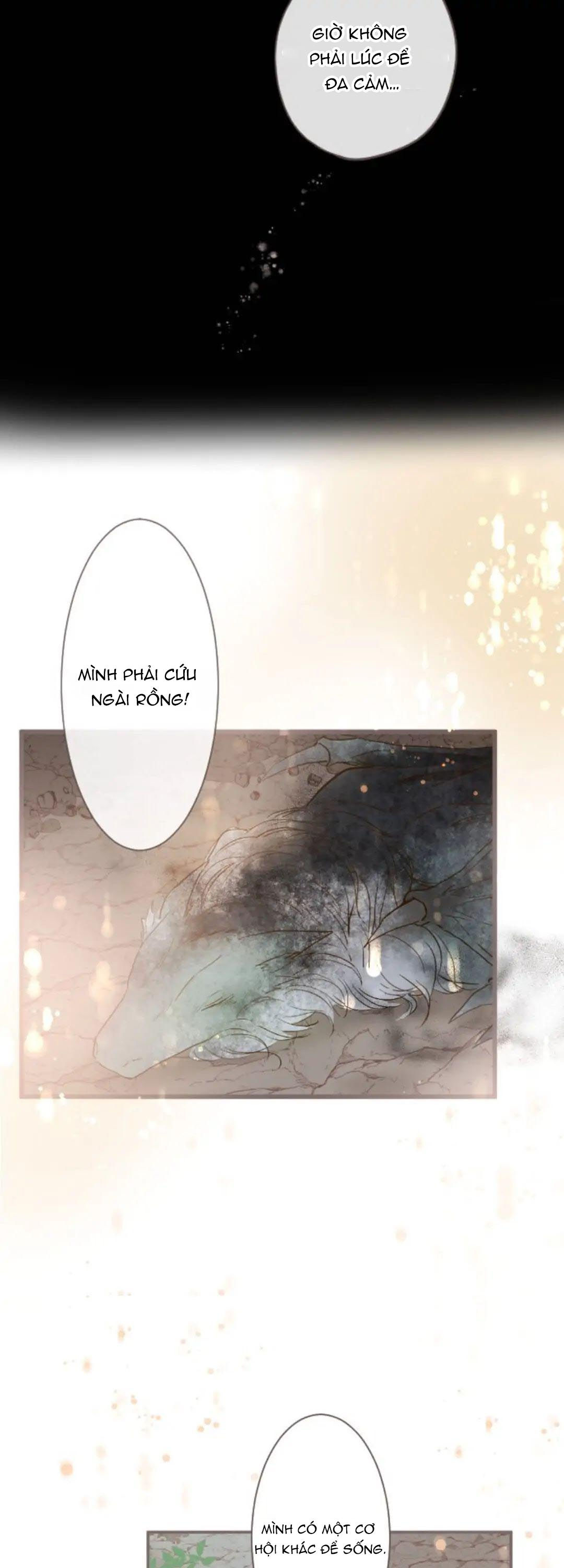 tôi được bảo vệ bởi kỵ sĩ rồng chapter 3.2 5