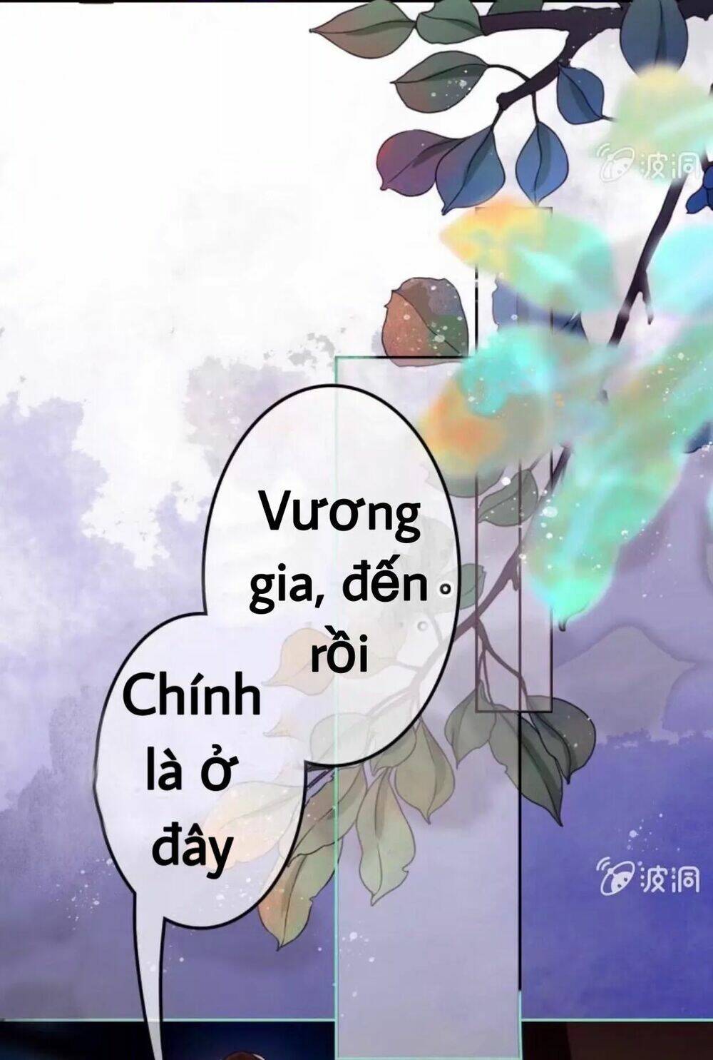 sủng phi của vương chapter 49 4