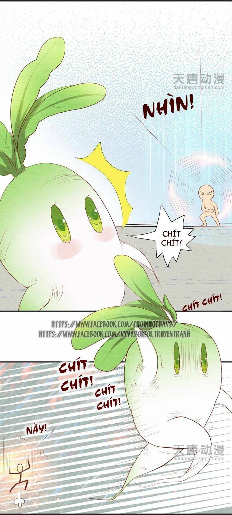 nhân hoa duyên chi sư phụ đại nhân cầu sủng ái chapter 4 22