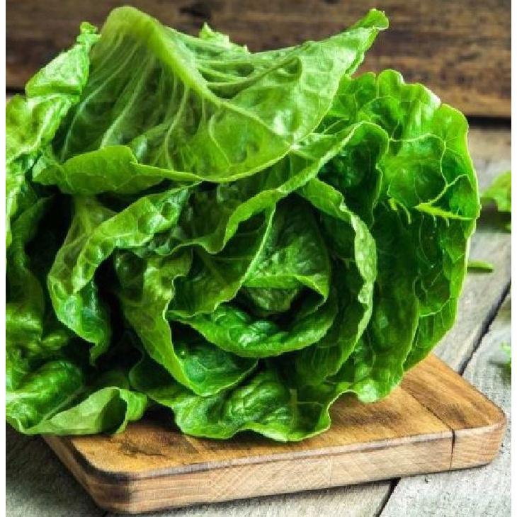 Hạt giống rau xà lách Romain xanh dể trồng f1- gói 0.2gram-tặng kèm gói phân bón lót