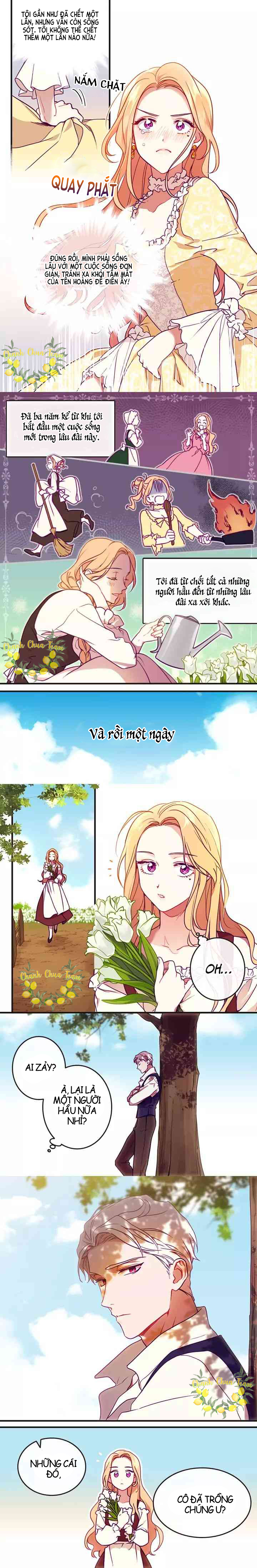 tổng hợp prologue chapter 23 3