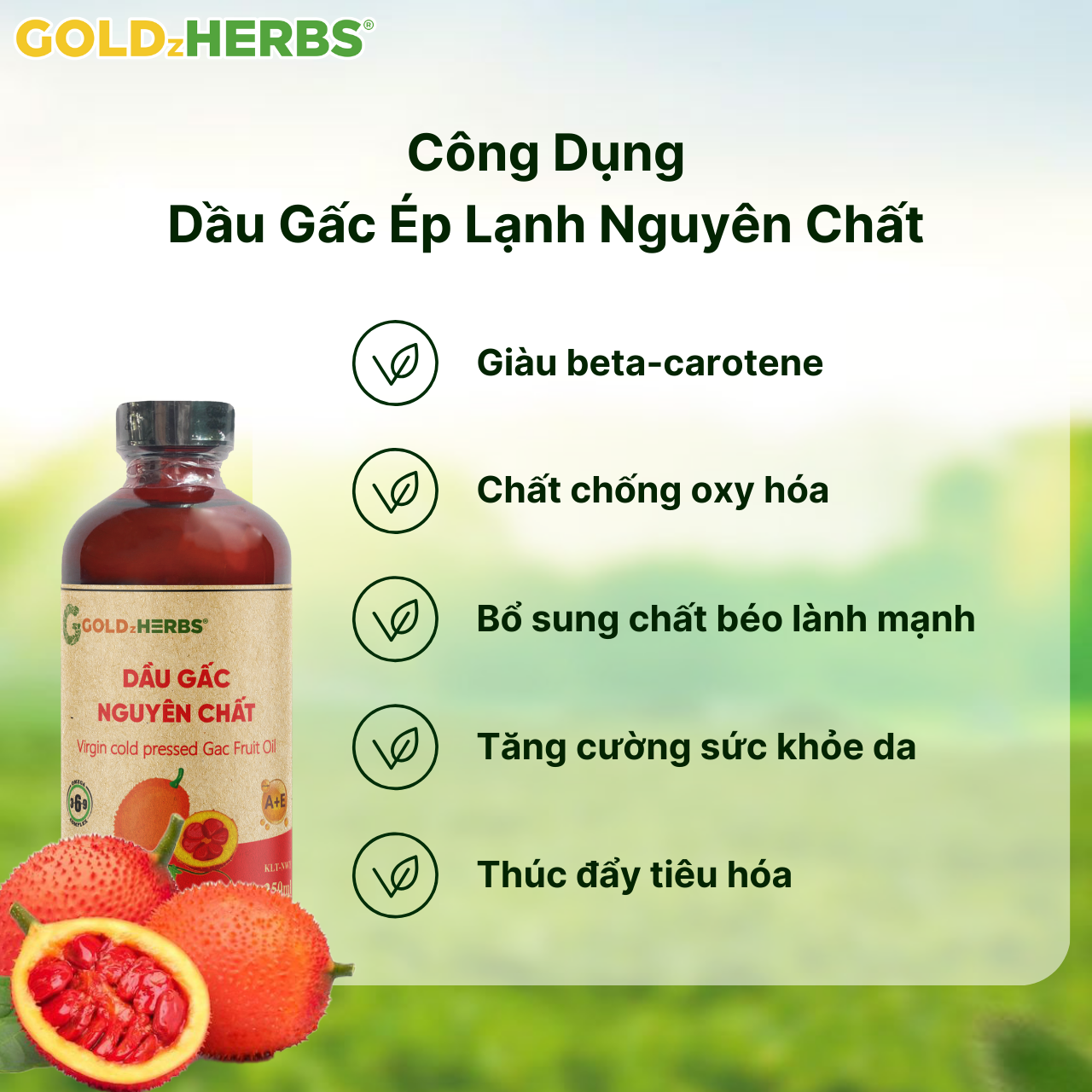 Dầu gấc ép lạnh nguyên chất GoldzHerbs – Chai 120ml/ 250ml