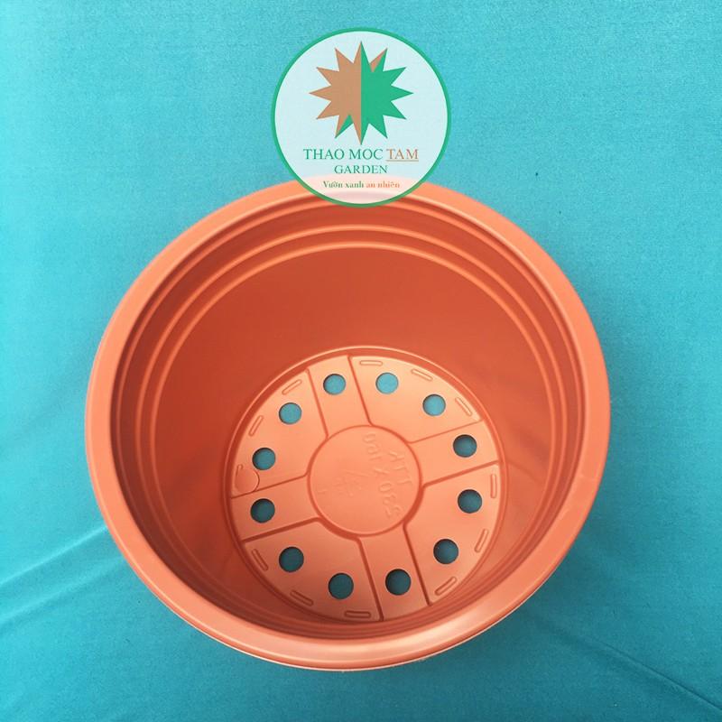 30c Chậu nhựa trồng hoa 23x16cm - Chậu nhựa trồng cây hoa cảnh