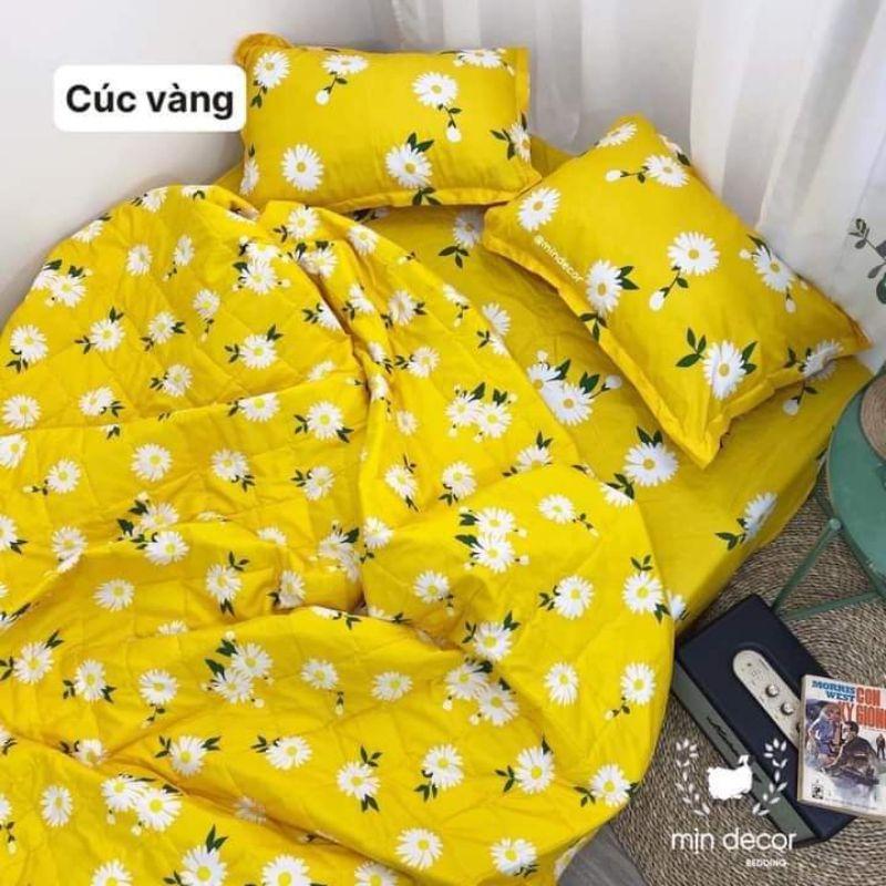 Bộ Chăn Ga Gối Cotton Poly Hè