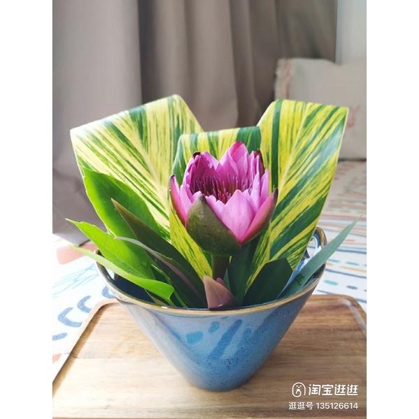 Bát cắm hoa bằng sứ ko kèm chông