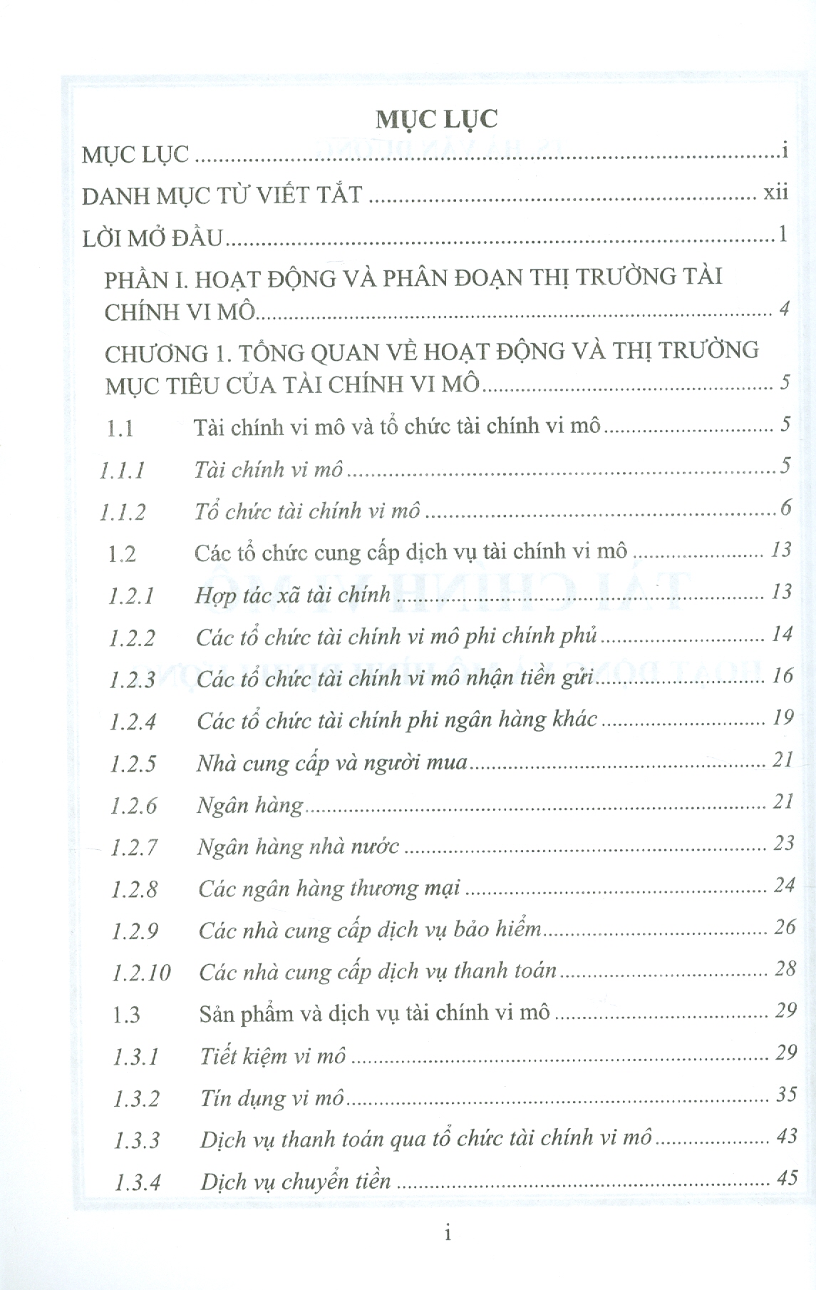 TÀI CHÍNH VI MÔ - Hoạt Động Và Mô Hình Định Lượng