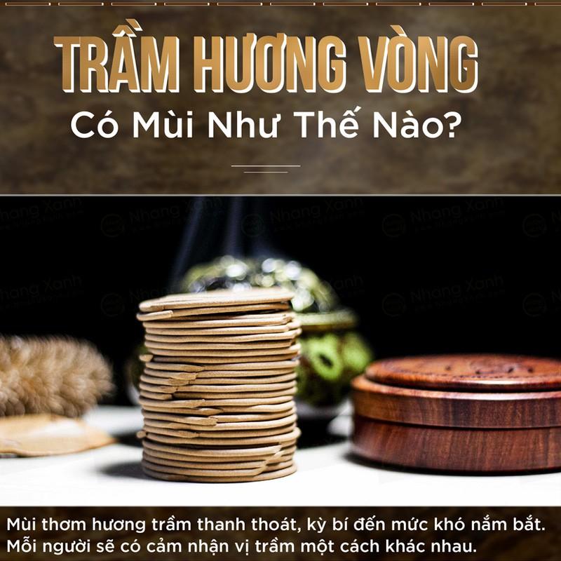 Nhang Vòng Trầm Hương 3H Nhang Xanh - Hộp 48 vòng