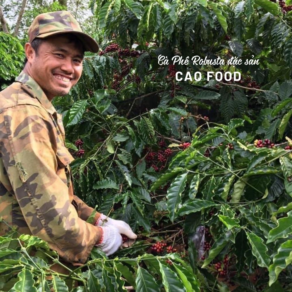 Cà phê Robusta Đaklak CAO FOOD từ 100% hạt cà phê robusta chín - đặc sản chế biến ướt Tây Nguyên cao cấp