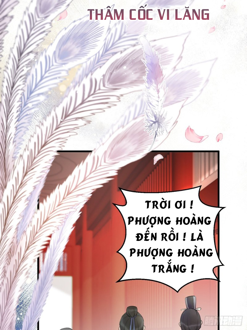 lễ băng nhạc hoại chi dạ chapter 2 43