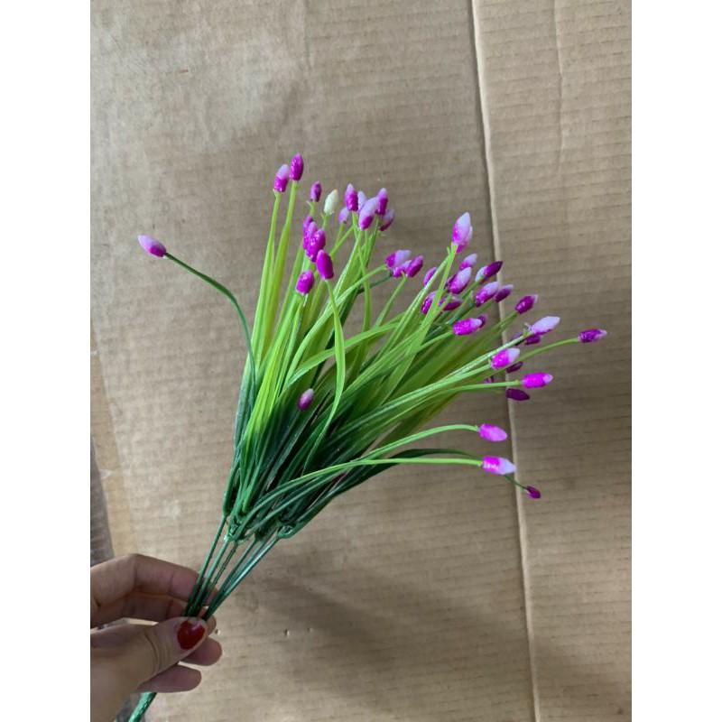 Cụm điểm sao 5 nhánh