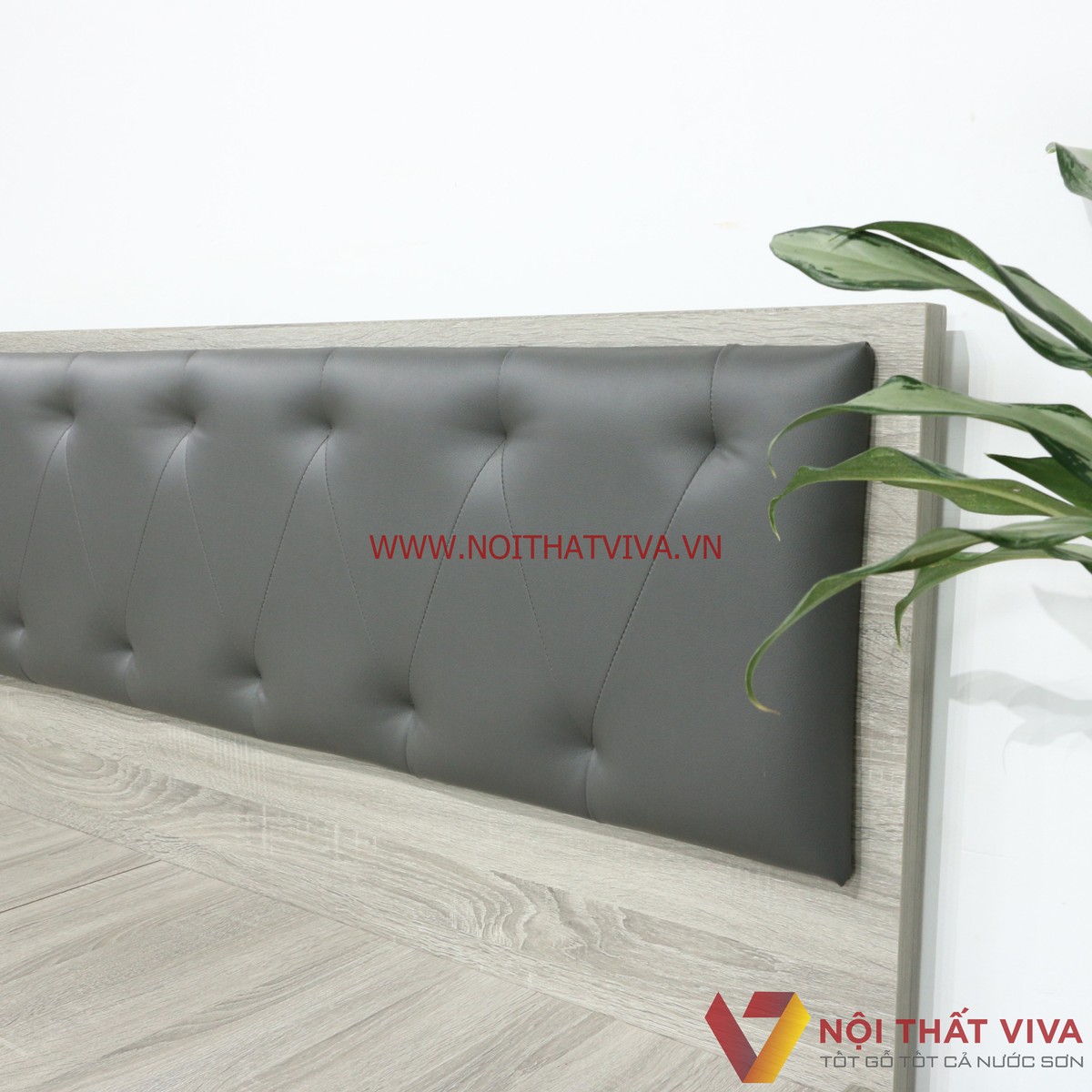 Giường Ngủ Gỗ MDF Melamine Màu Xám Vân Gỗ Có Hộc Kéo + Đầu Nệm Xanh Đen Đẹp Hiện Đại