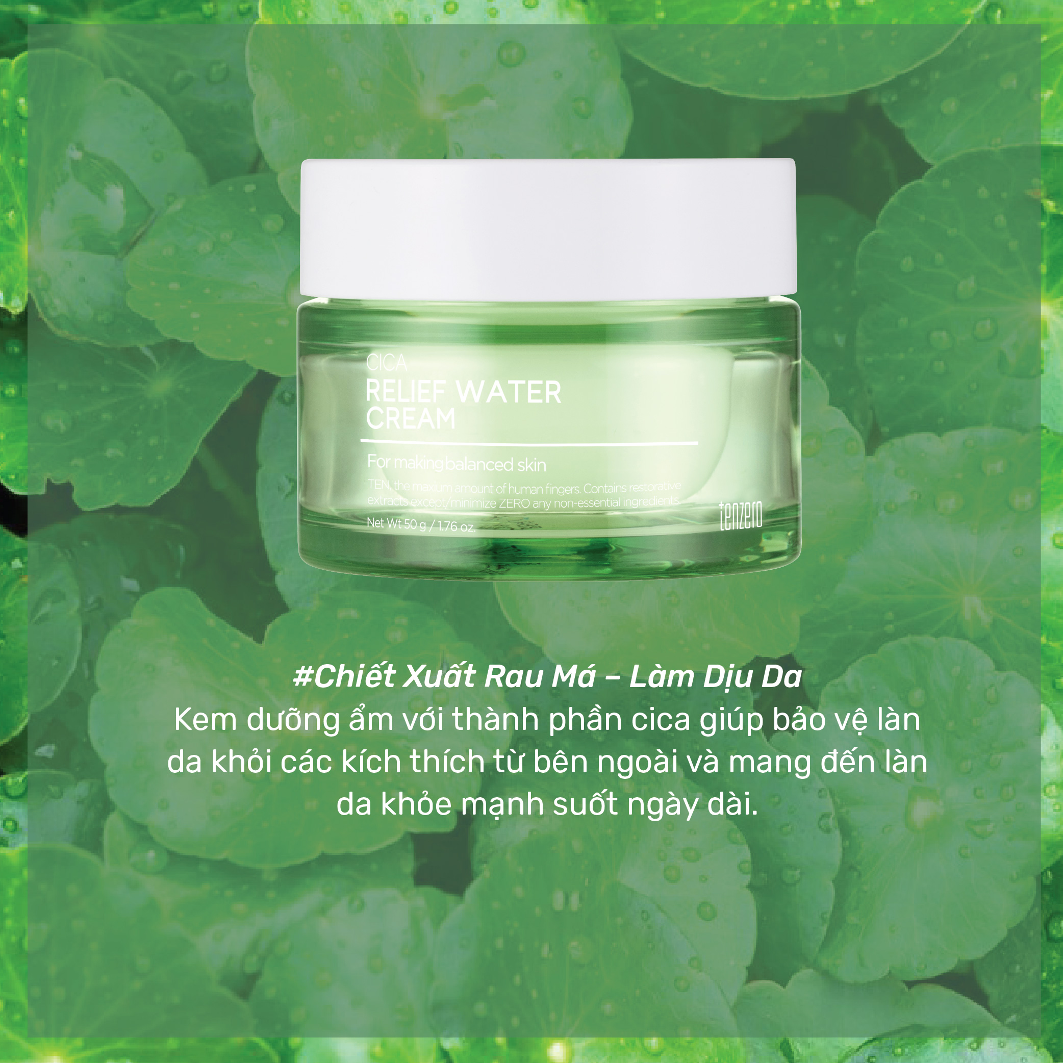 Kem Dưỡng Ẩm Làm Dịu Da, Phục Hồi Da Rau Má Tenzero Cica Relief Water Cream 50g