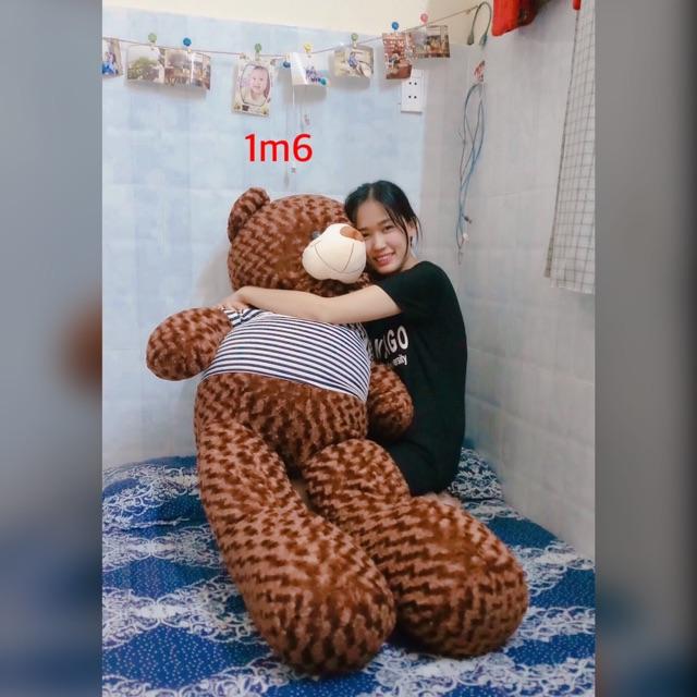 Gấu bông Teddy áo thun - Hàng đẹp- Hình thật