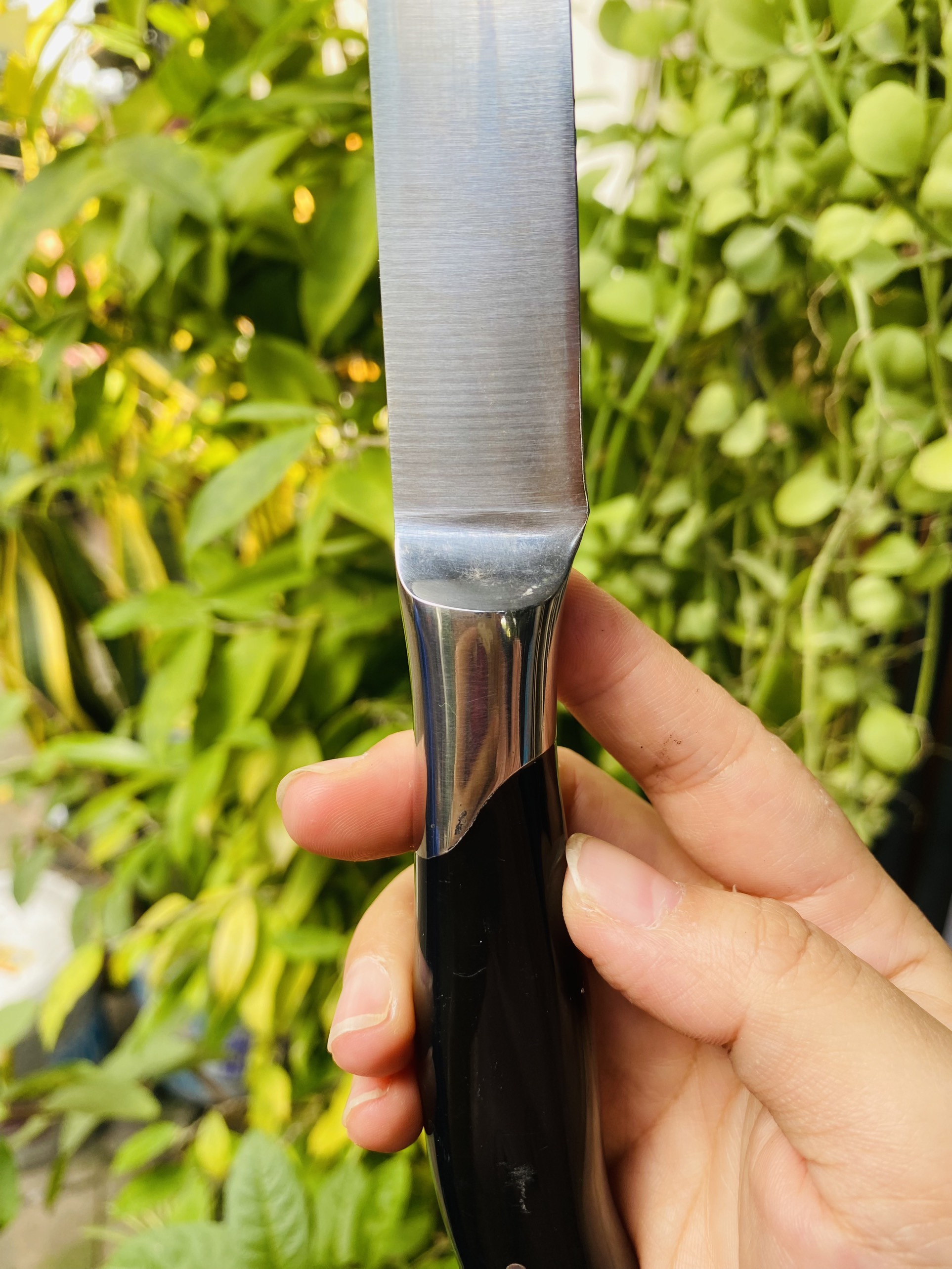 Dao gọt trái cây 23.5cm Đức sắc bền đẹp