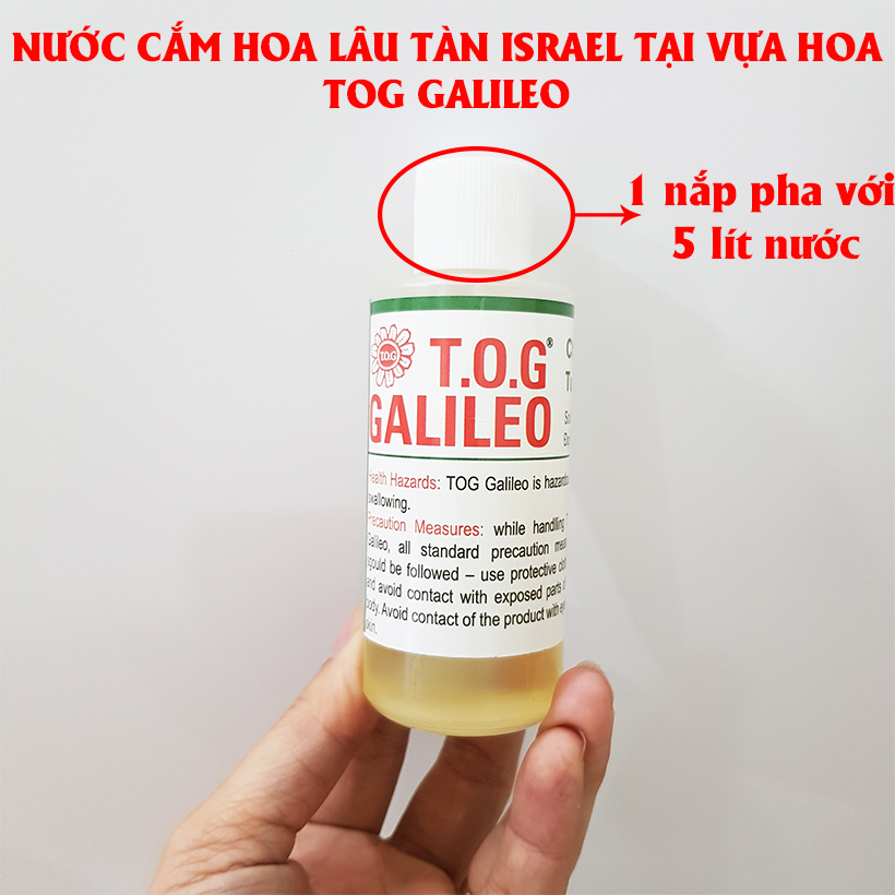 Nước Cắm Hoa Lâu Tàn Tại Vựa Bán Hoa Tươi Nhập Khẩu Israel TOG Galileo Giúp Kiềm Hoa Không Nở Tại Vựa Và Không Thay Nước Trong Xô 5 Ngày Liên Tục