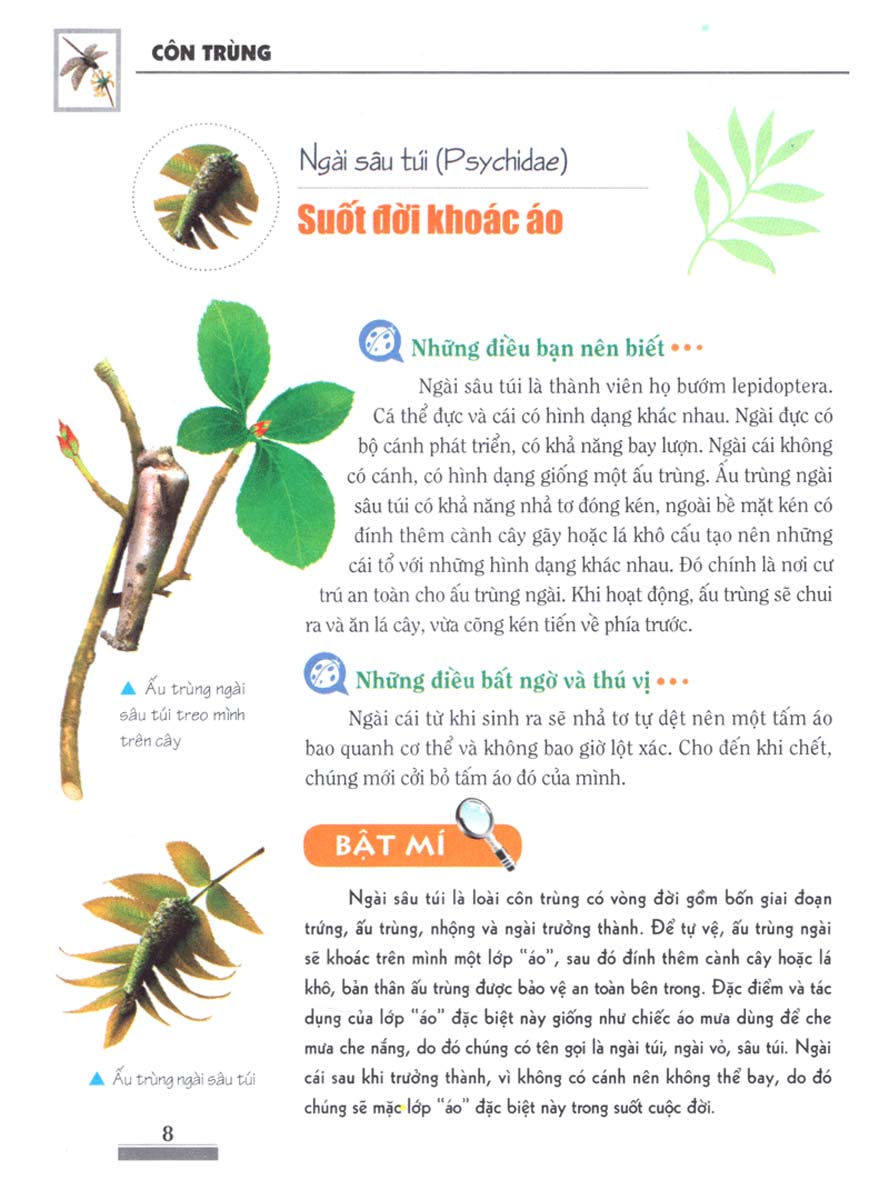 Khám Phá Bí Ẩn Thế Giới Tự Nhiên Dành Cho Học Sinh : Côn Trùng_ML