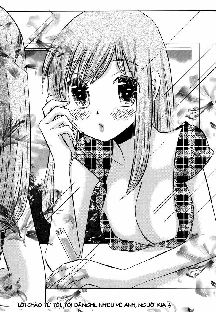 usotsuki paradox chapter 49 1