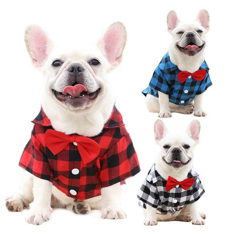 [Có Size 4XL] Áo sơ mi có nơ đi biển cho Chó Mèo , thời trang mùa hè dành cho cún cưng
