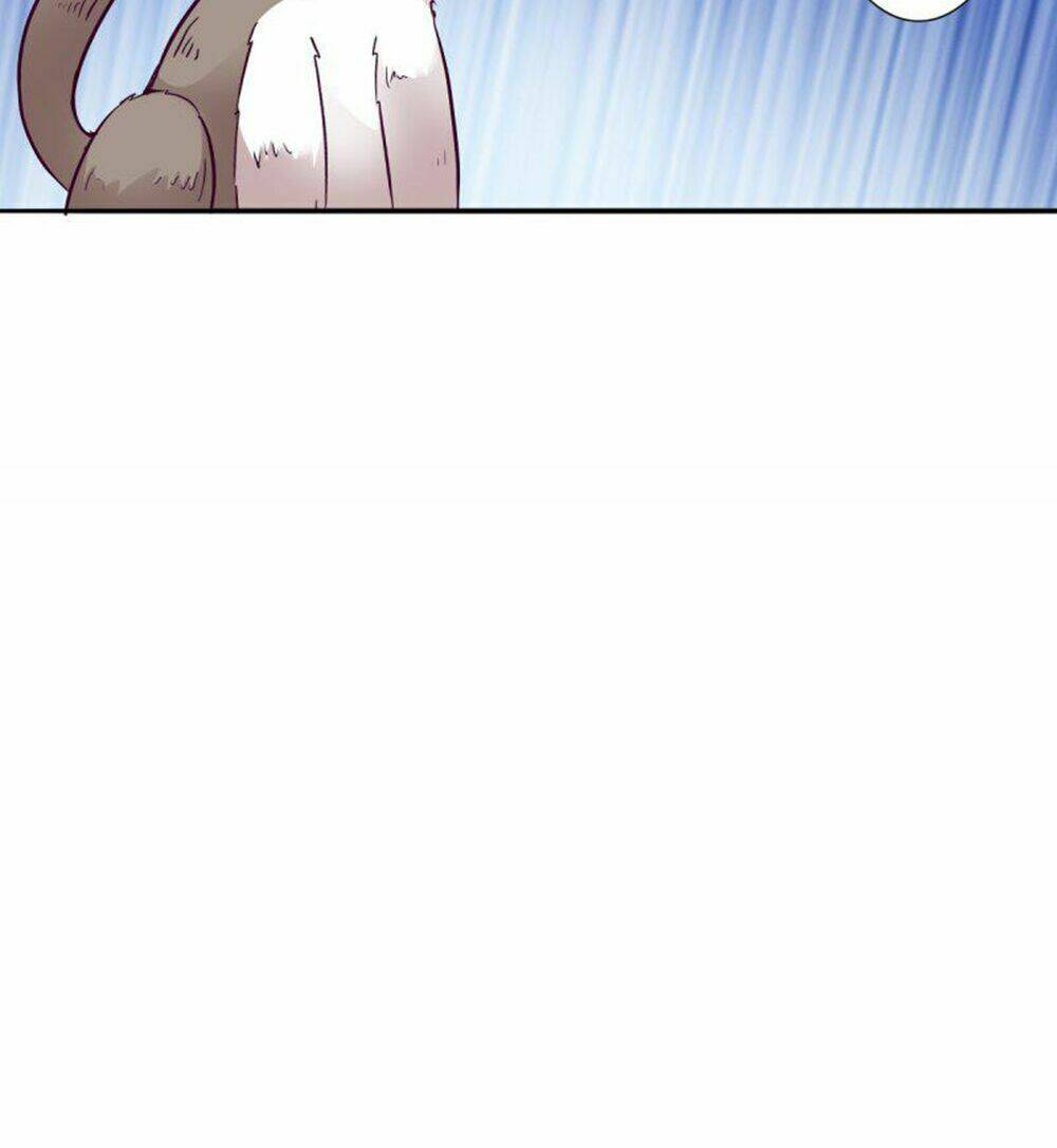 hai chú mèo totem chapter 3 11