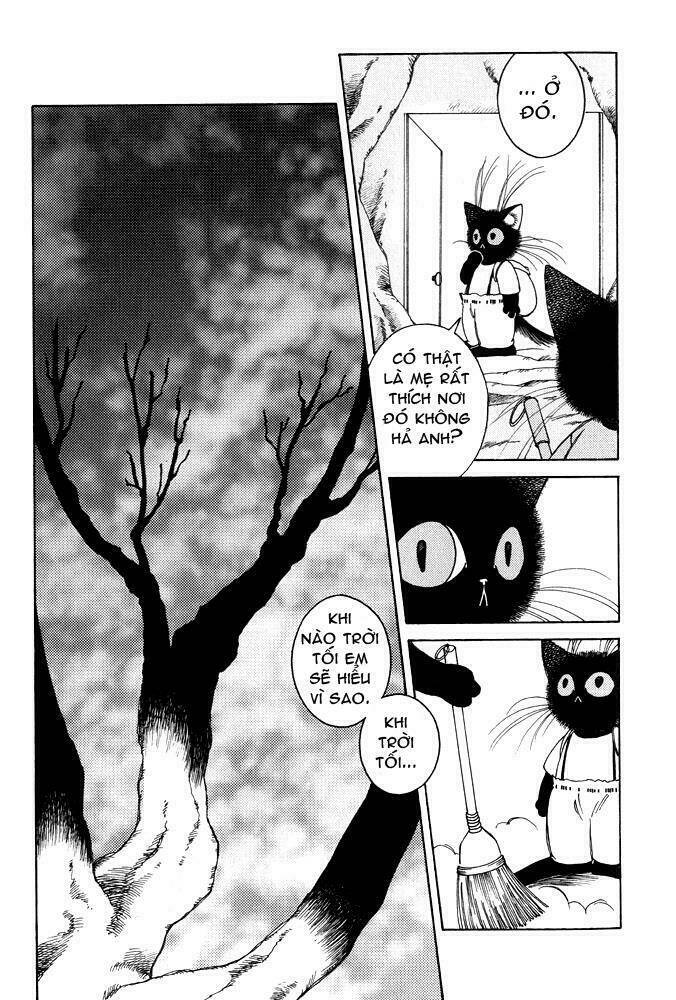 bernie's drawing diary chapter 5 15