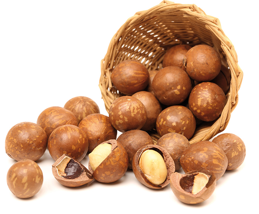 Hạt mắc ca tách vỏ Hũ 250g