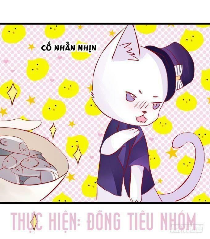 hồ tiên hung bạo chapter 15 52