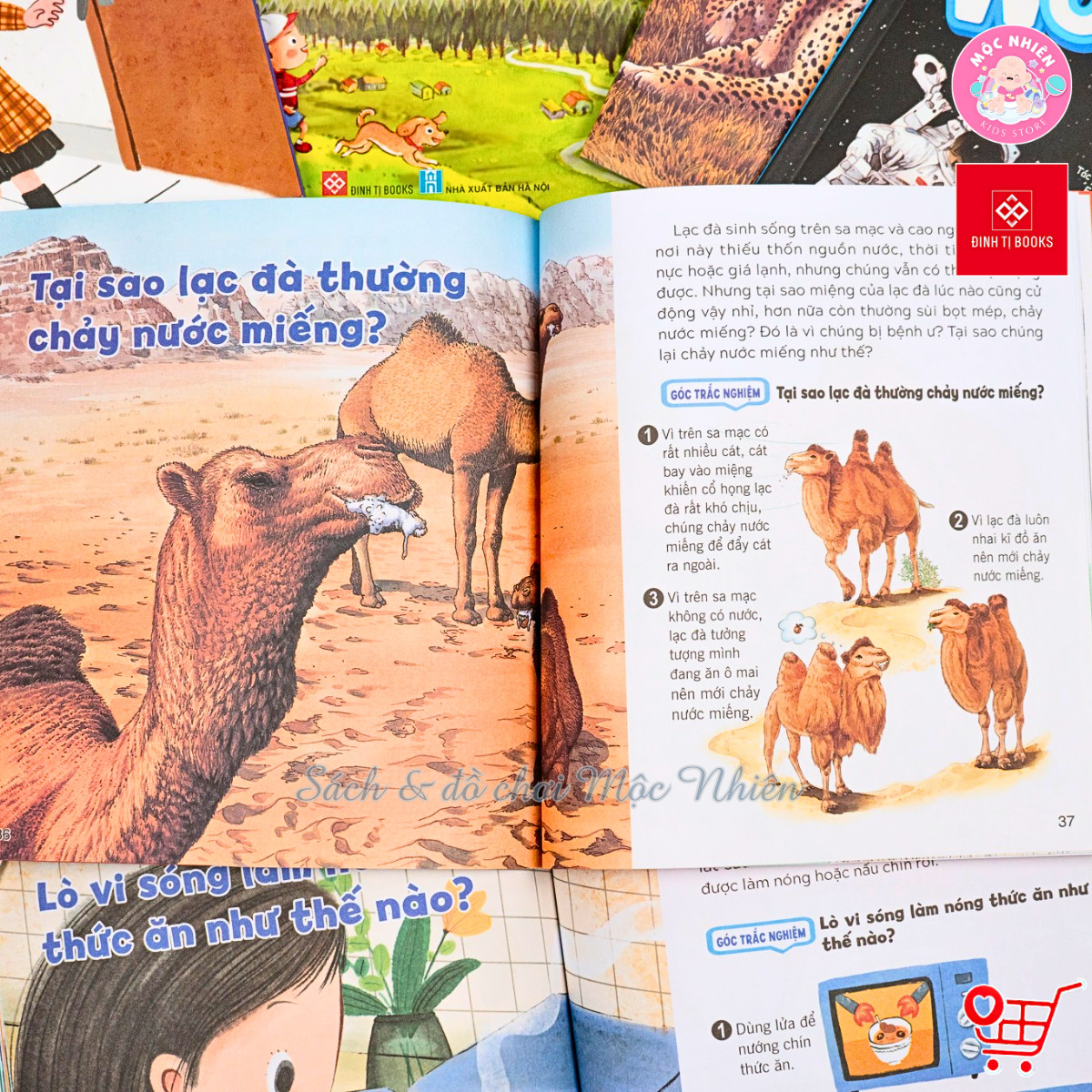 Sách - Wow, thì ra là thế! Dành cho bé từ 6-12 tuổi - Đinh Tị Books