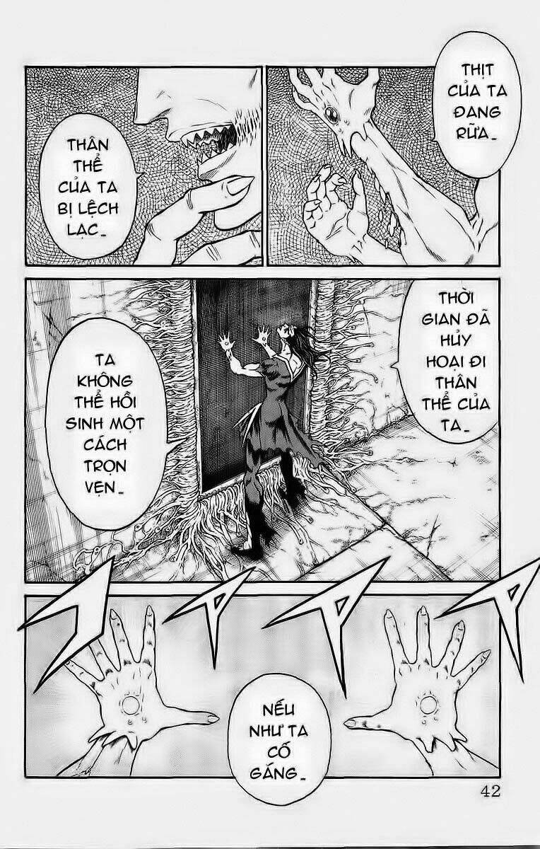 vua trên biển chapter 233 17