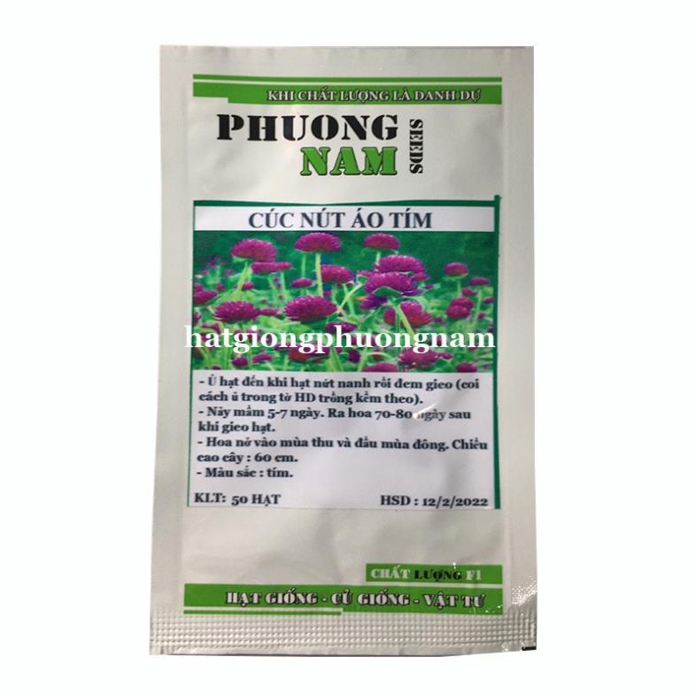 50H - HẠT GIỐNG CÚC NÚT ÁO TÍM
