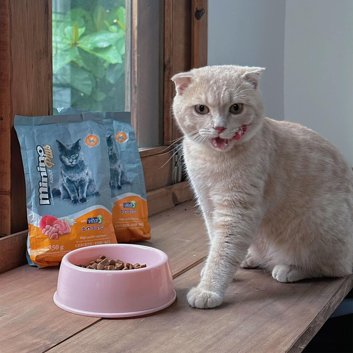 Hạt Thức Ăn Cho Mèo Lớn Trưởng Thành Minino Plus Adult Vị Gà Cá Và Gạo Gói 1.5kg