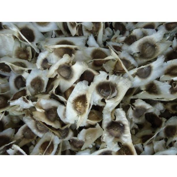 100gr HẠT CHÙM NGÂY