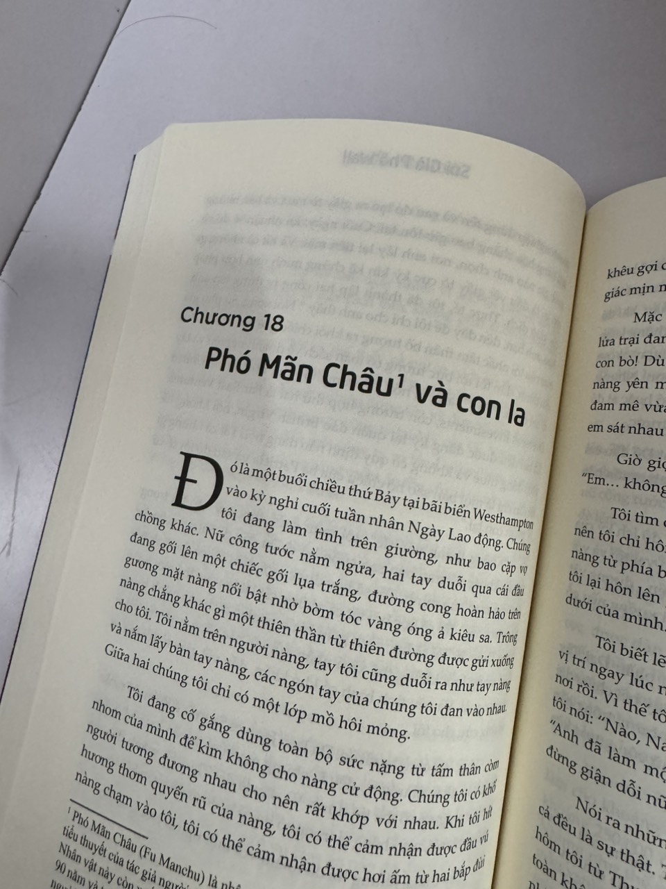 SÓI GIÀ PHỐ WALL (PHẦN I): Cuốn Hồi Ký Không Nên Đọc Ngắt Quãng Được Viết Bởi "Chủ Nhân Trẻ Của Vũ Trụ Phố Wall" - J.Belfort - Nguyễn Xuân Hồng dịch - Bách Việt