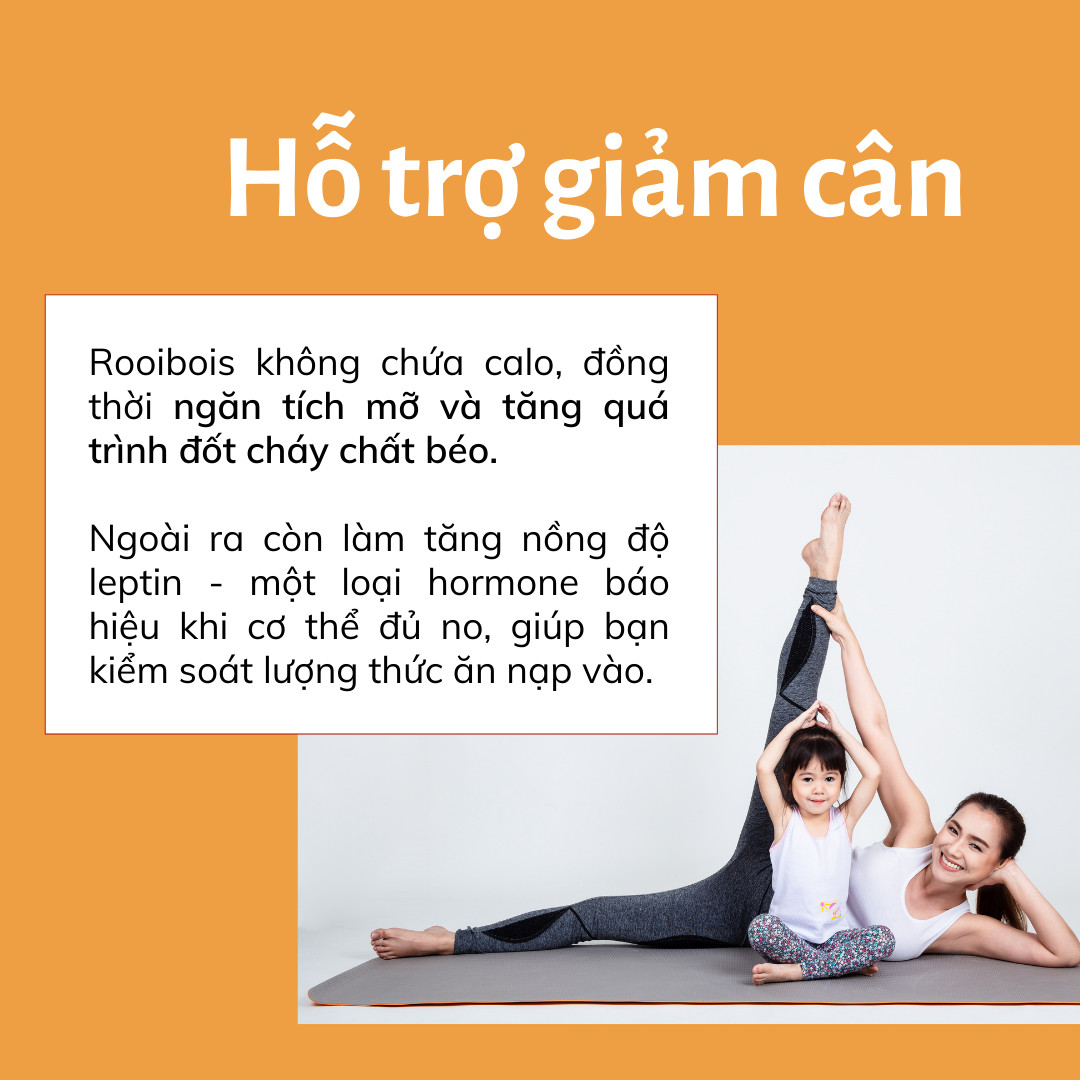 Trà thảo mộc Rooibos Nam Phi 100gr - Hương dâu vani