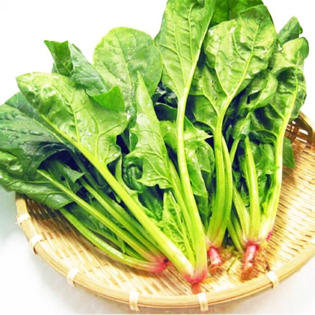 Hạt Giống Cải Bó Xôi/Cải Bina/Cải Chân Vịt