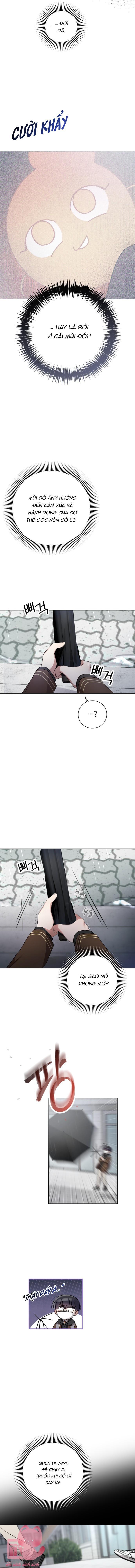 người xử lý mùi chapter 8 8