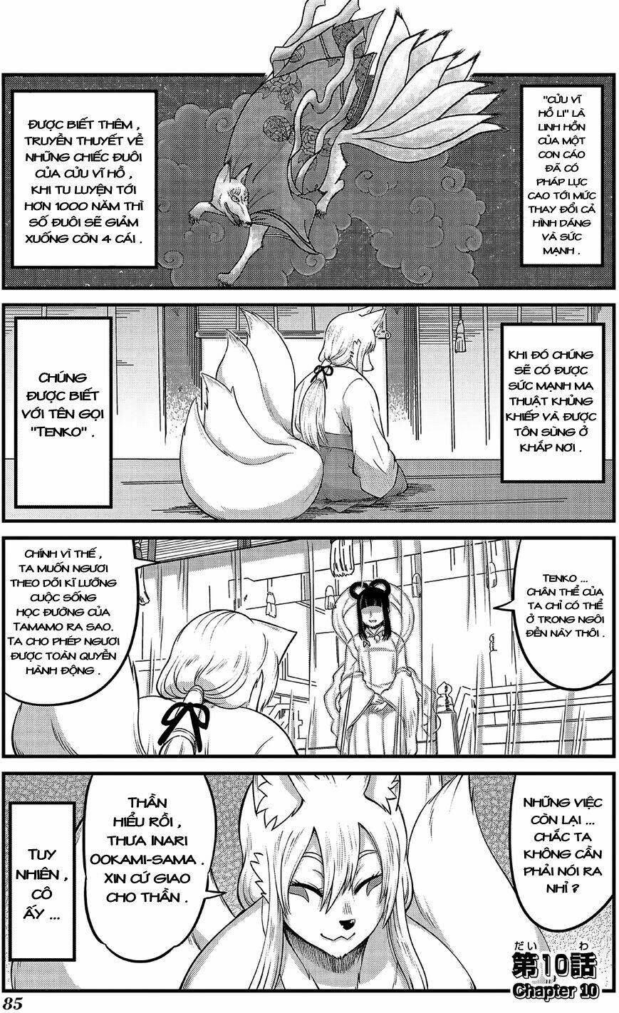 high school inari tamamo-chan ! chapter 10 2