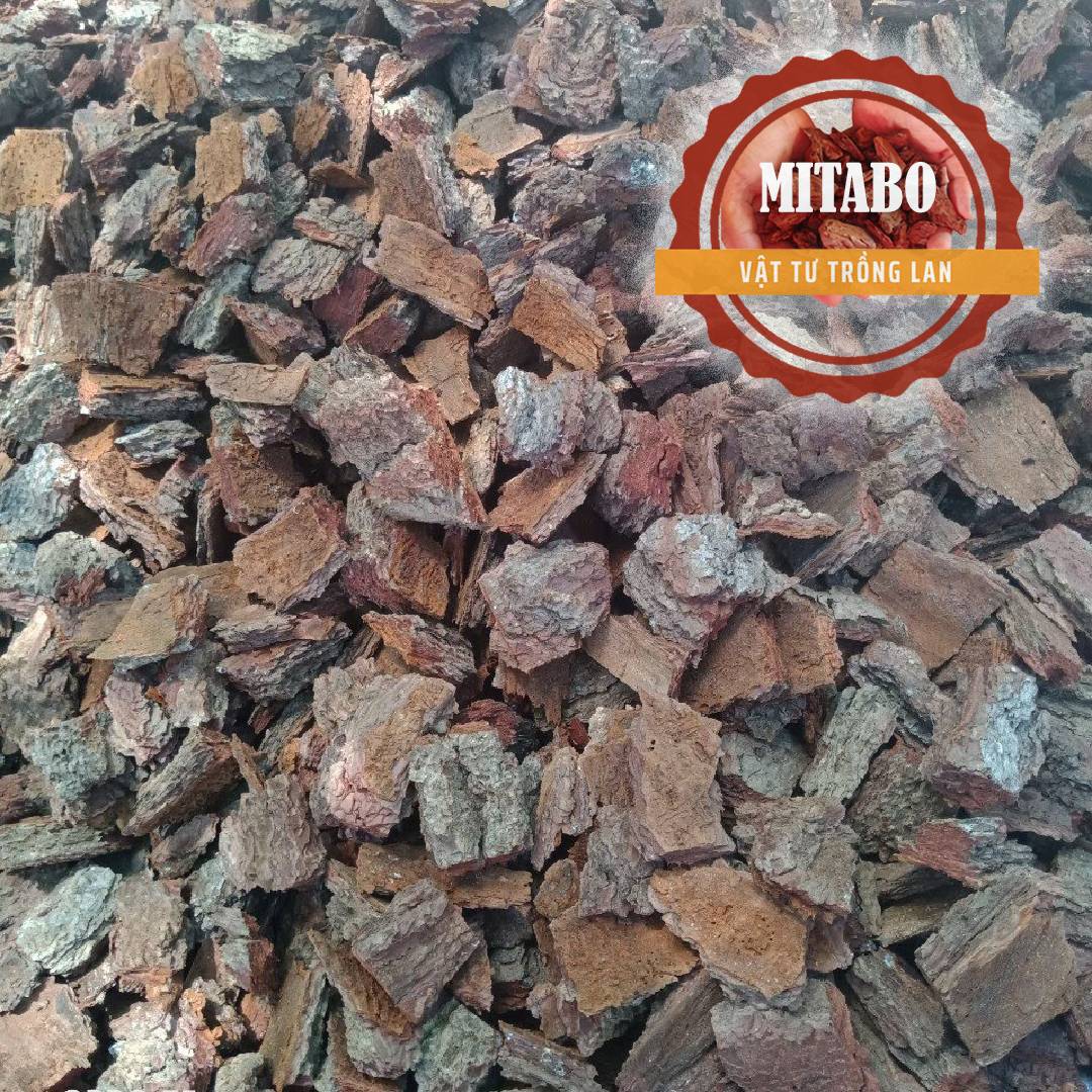 Vỏ thông băm 3-4cm