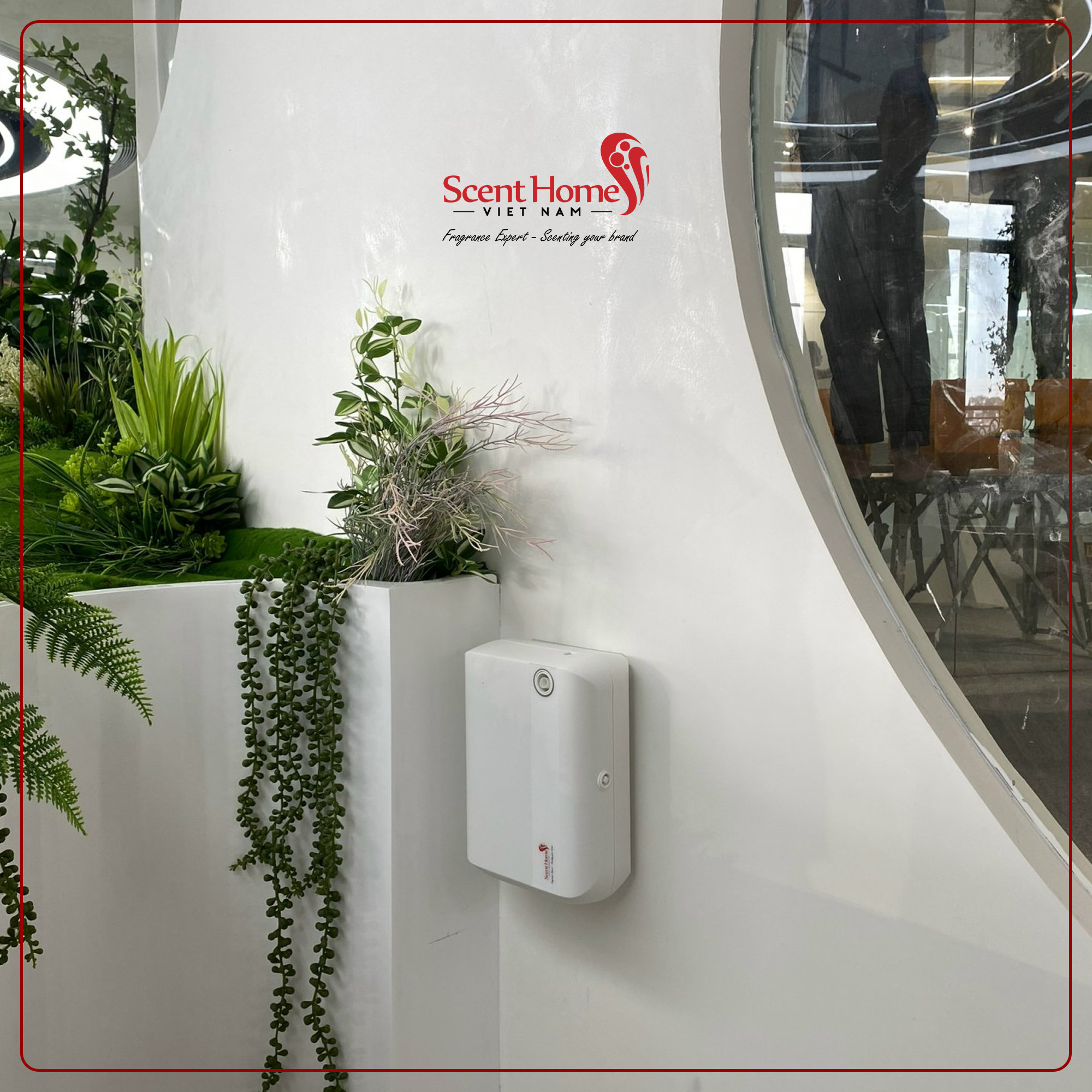 Máy tạo hương thơm cao cấp Scent Homes
