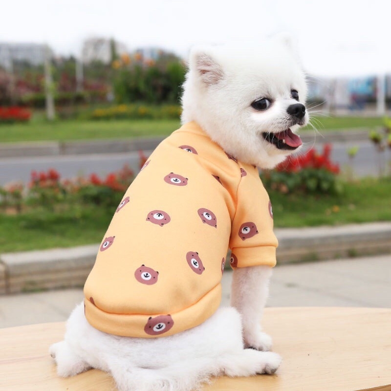 Áo cho chó mèo mẫu áo nỉ mùa đông có mũ siêu ấm-familypetshop.vn
