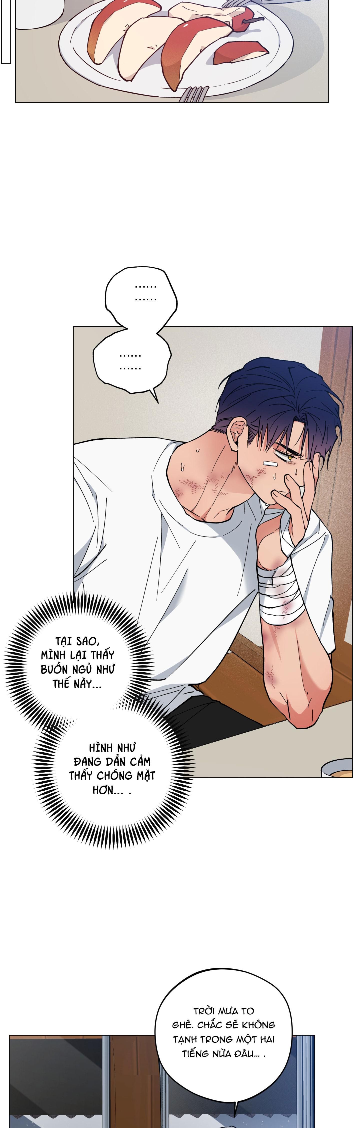 bình minh của rồng chapter 32 24