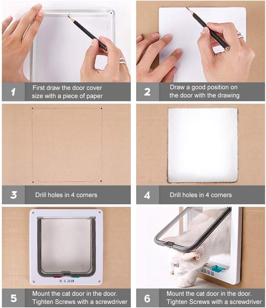 Catières, trò chuyện cho mèo và những con chó nhỏ