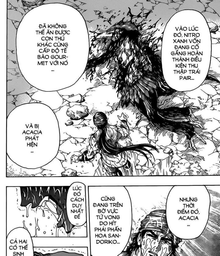 thánh tỏi sành ăn chapter 323 26