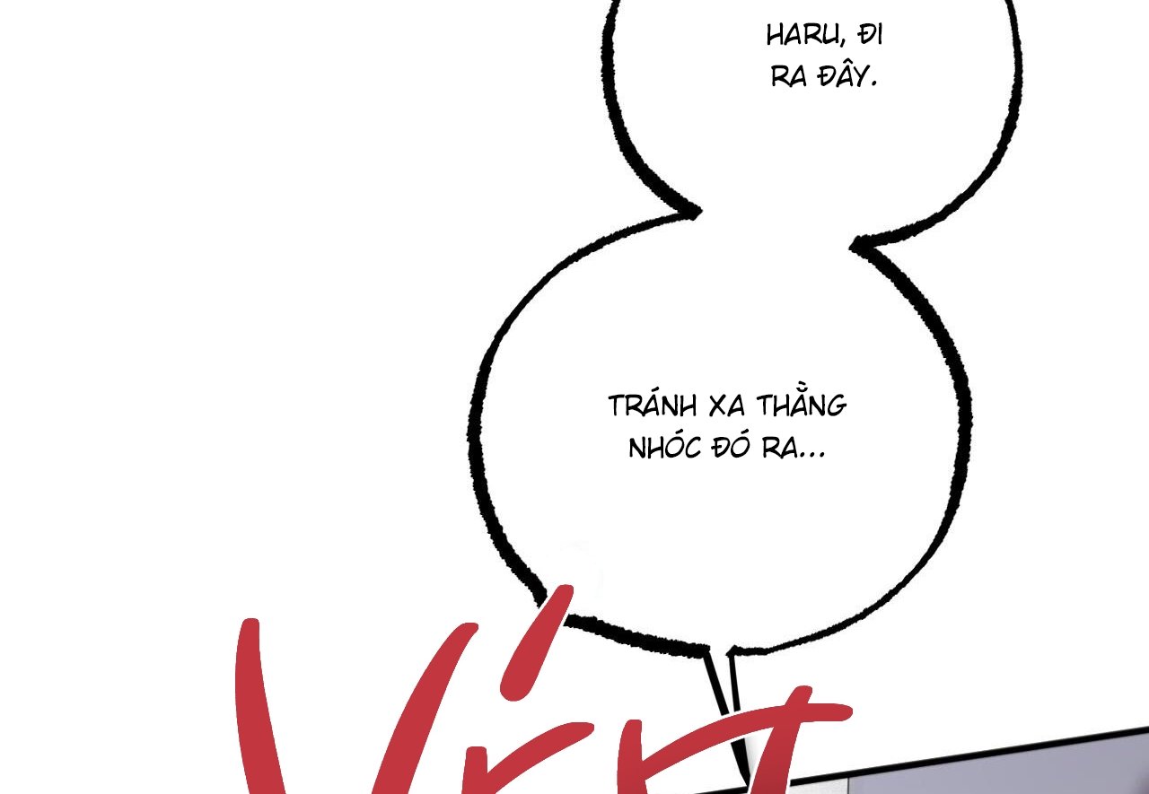 những chú thỏ của hapypy chapter 60 50