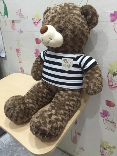 Gấu bông teddy khổ 1m màu khói