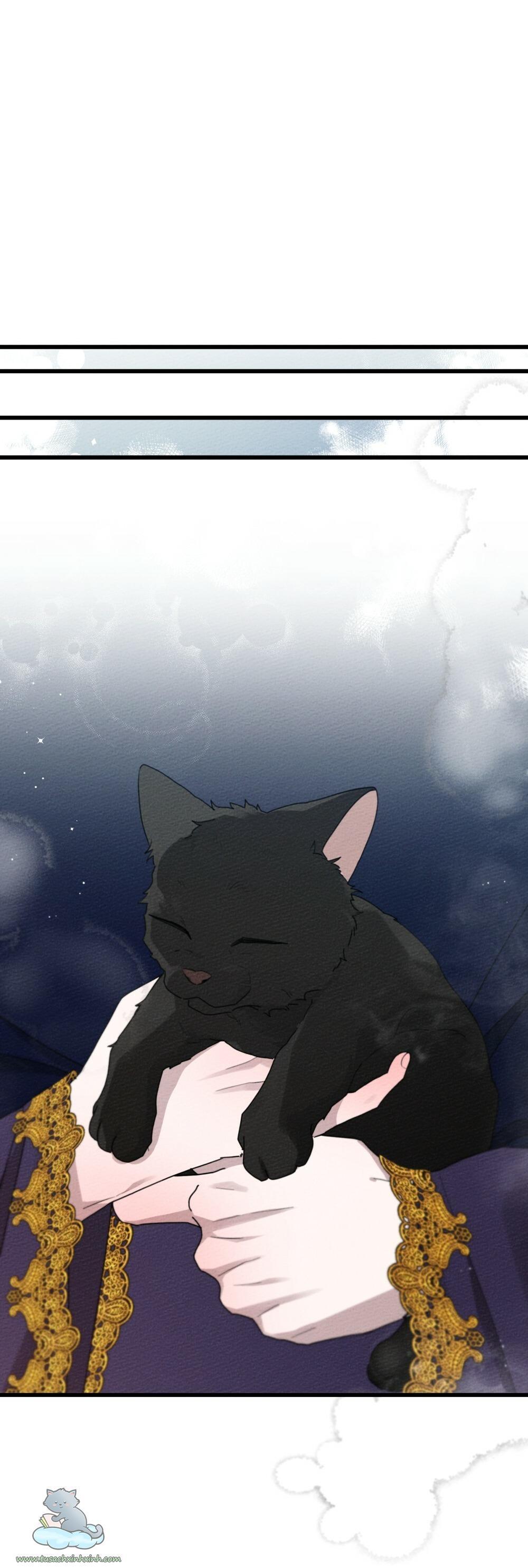 dưới tán cây sồi chapter 46 28